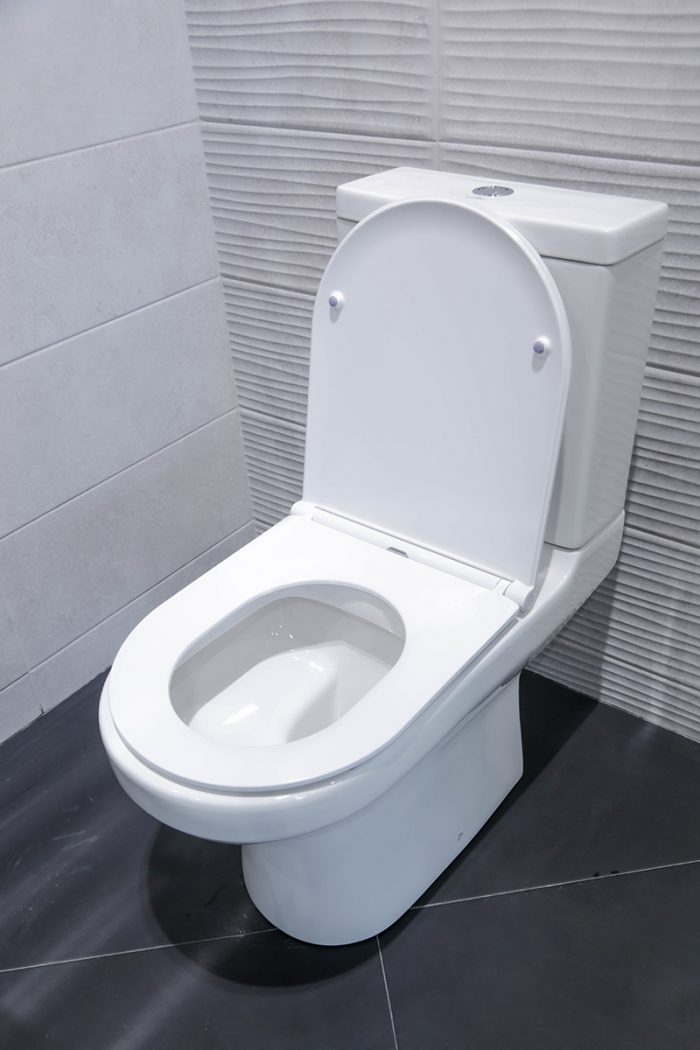 Castleware WC Toilet and Tank Only