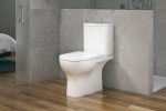 Castleware WC Toilet for Disabled P-Type